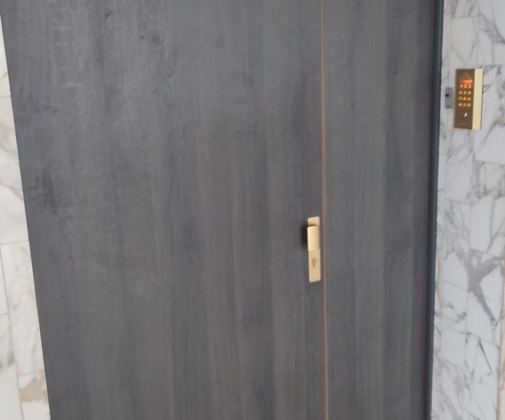 PORTE BUREAU BOIS
