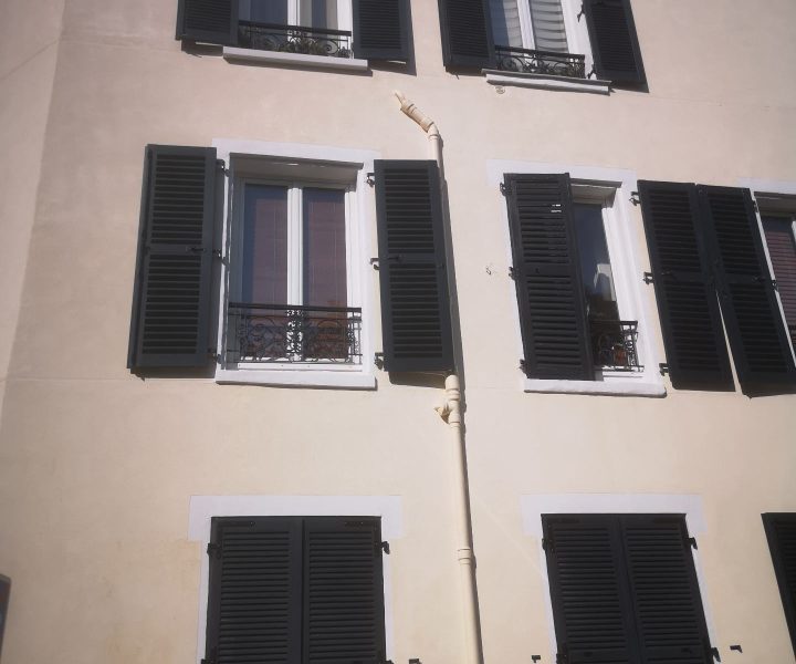 Volet battant bois (3)